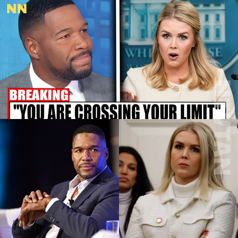 Ex-NFL Player Tries to Take Down Karoline Leavitt on Live TV, But Her Stunning Comeback Silences Him and the Entire Room